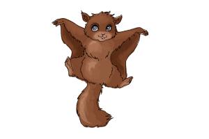 How to Draw a Flying Squirrel | DrawingNow