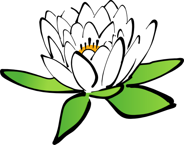 Lotus Flower Outline