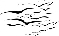 flock_of_birds_clip_art_thumb.jpg