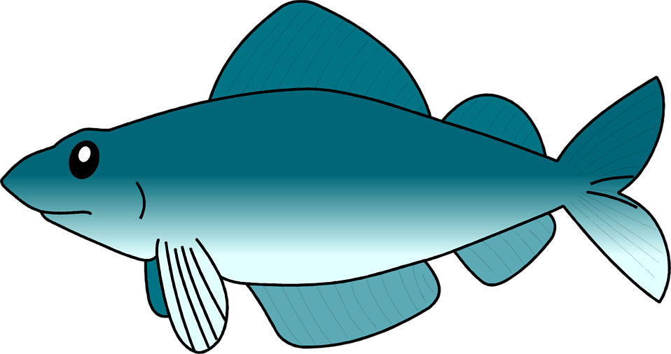 Cod Fish Cartoon | Free Download Clip Art | Free Clip Art | on ...
