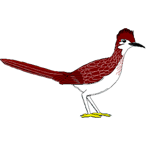 Best Roadrunner Clipart #7930 - Clipartion.com