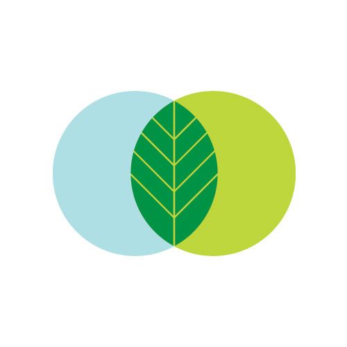 Green Logo | Book Logo, Logos and ...