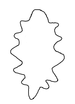 Bread Dough Clay Holly Leaf Ornament