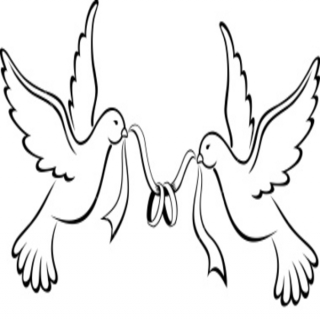 Love Bird Drawing Simple Love Birds Wedding Bands Image - Litle Pups