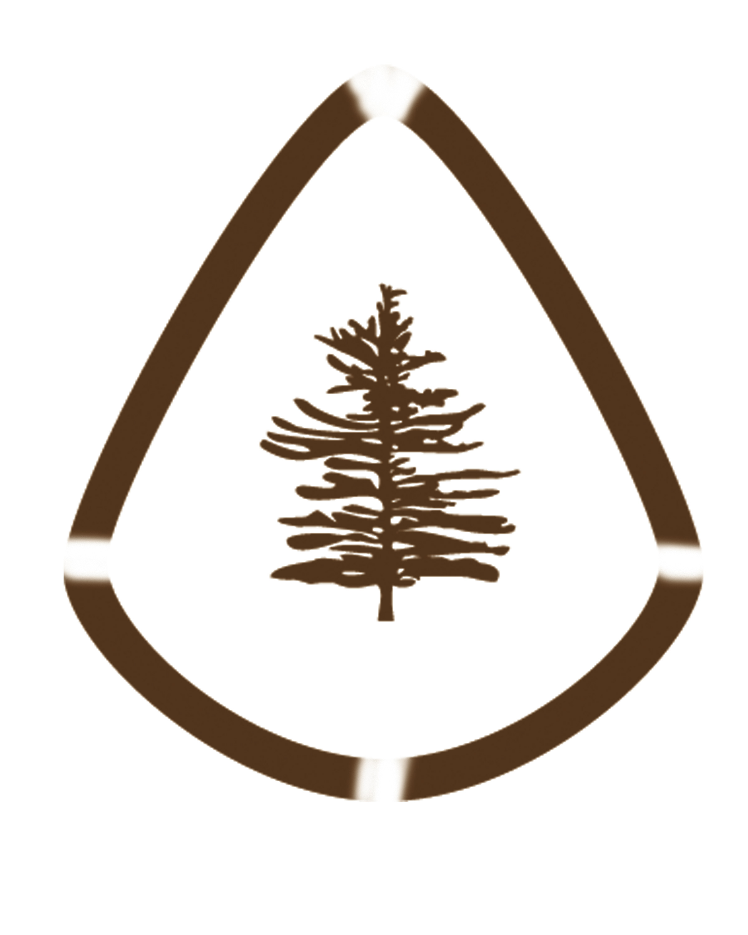 Pine Tree Logo