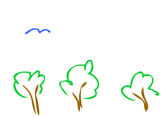 Flying Bird | Mr Jess Online ICT Class