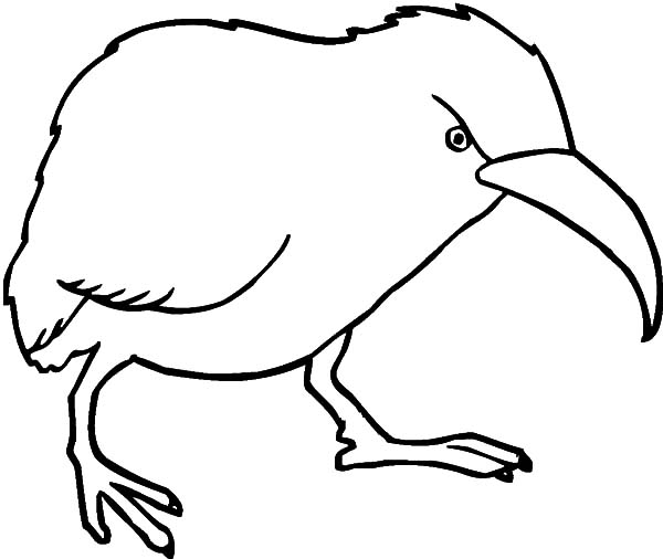 Download Online Coloring Pages for Free - Part 35