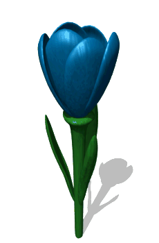 Flower Blooming Animation - ClipArt Best