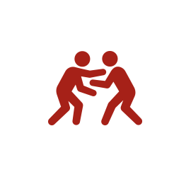 wrestling icon Gallery