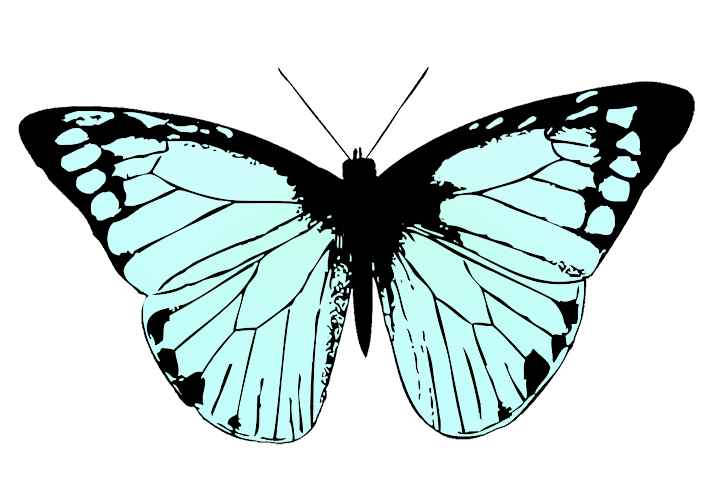 Butterfly Clipart