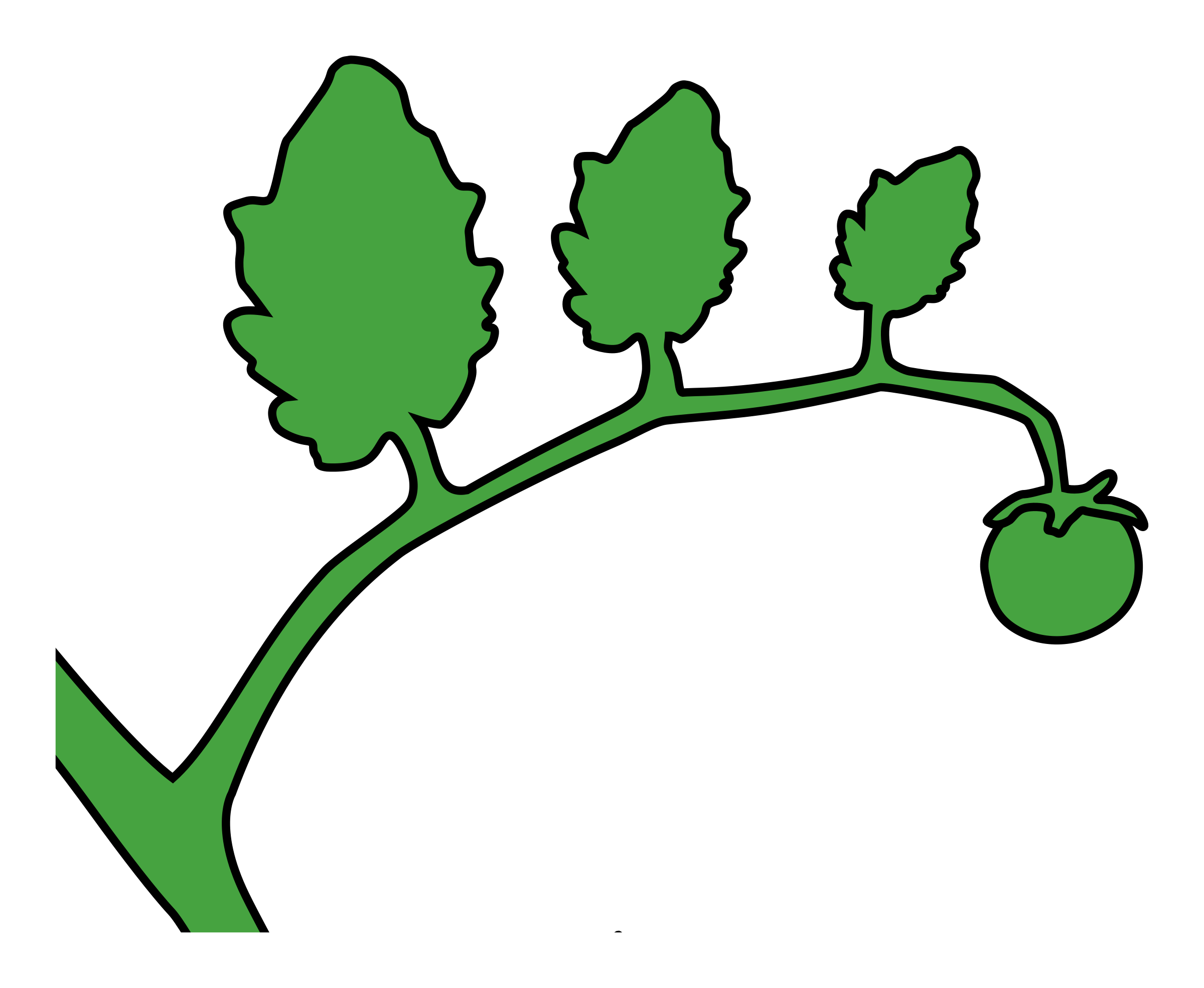 Clipart - green tomato on a vine