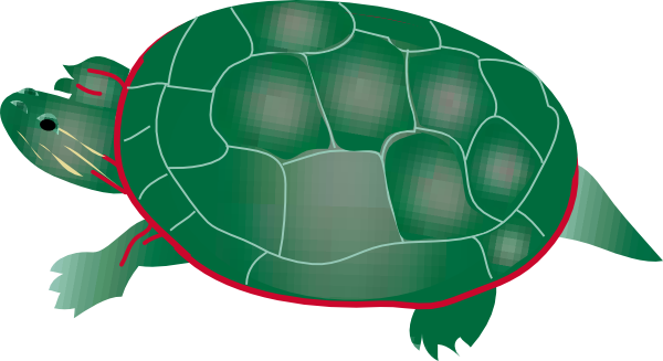 Snapping turtle clipart