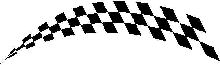 CHECKERED FLAG DECAL / STICKER 39