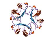 Macrophage migration inhibitory factor