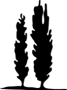 53021U.GIF