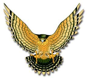 Clipart - falcon-