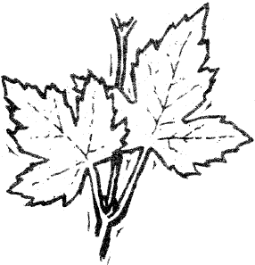 Ministry of Forests, Mines and Lands - Province of British ...