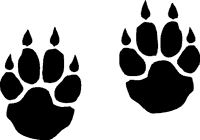 Panther Stickers | Panther Decals - Car Stickers