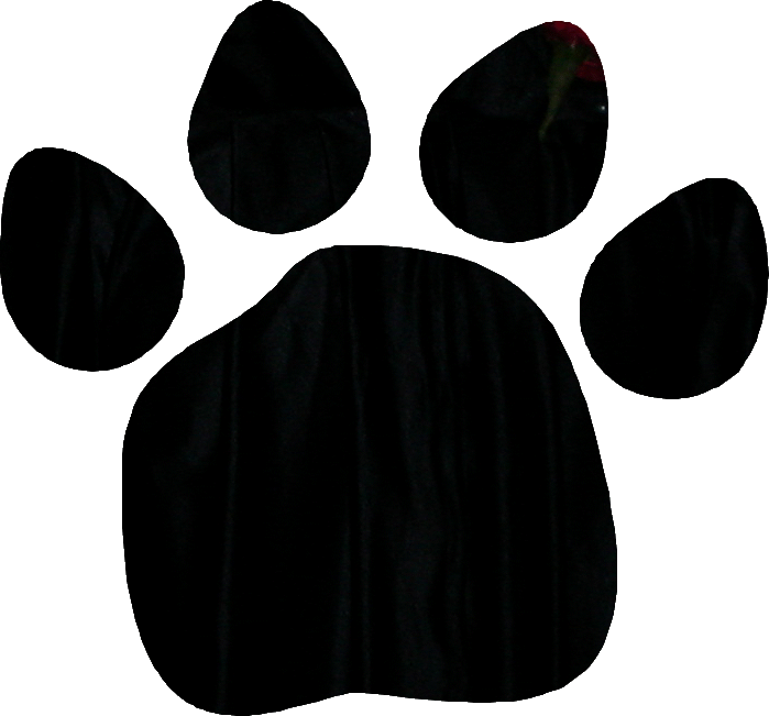 availablepuppies