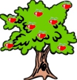 appletree.jpg
