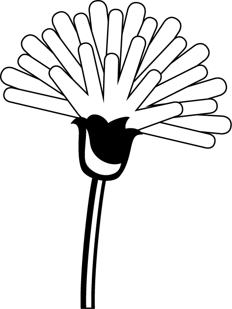 spring flower3-Material of flower-illpop com(