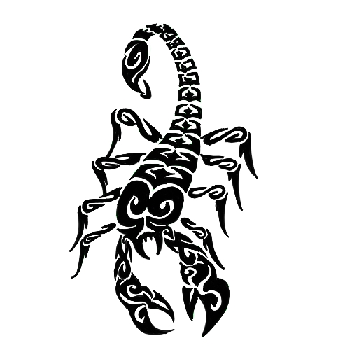 Scorpion Artwork - ClipArt Best