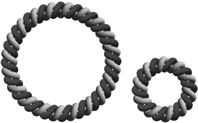 Geometry of the toroidal N-helix: optimal-packing and zero-twist ...