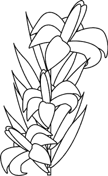 Flowers Coloring Pages