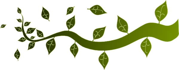 Tree Branch Template - ClipArt Best