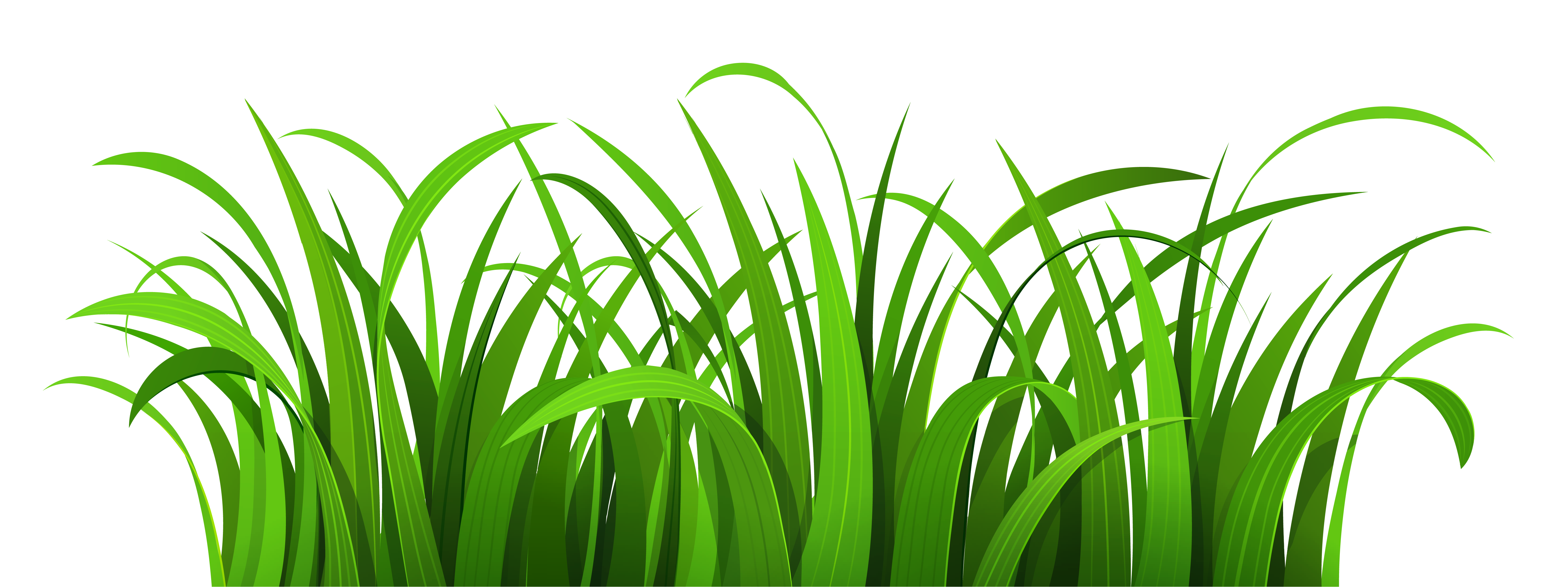 Cartoon Grass - ClipArt Best