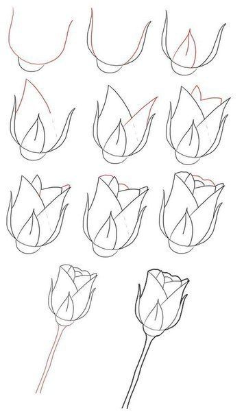 How to draw a rose instructions