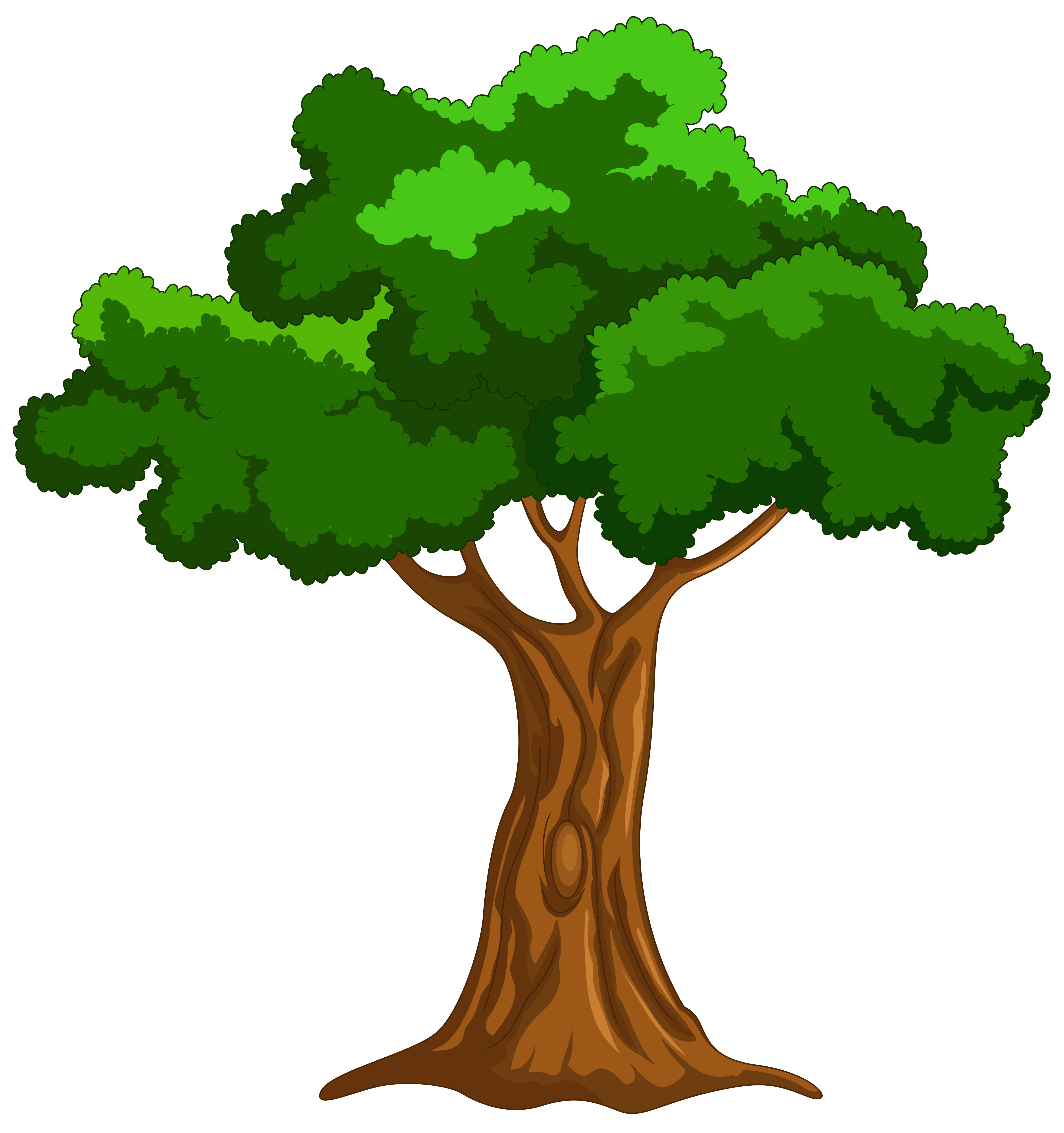 Cartoon trees clipart