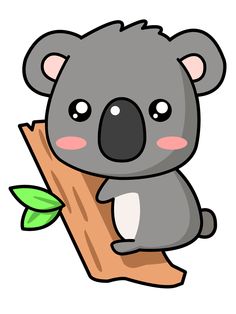 Warriors and Koalas