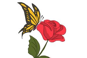 How to Draw a Butterfly On a Flower | DrawingNow