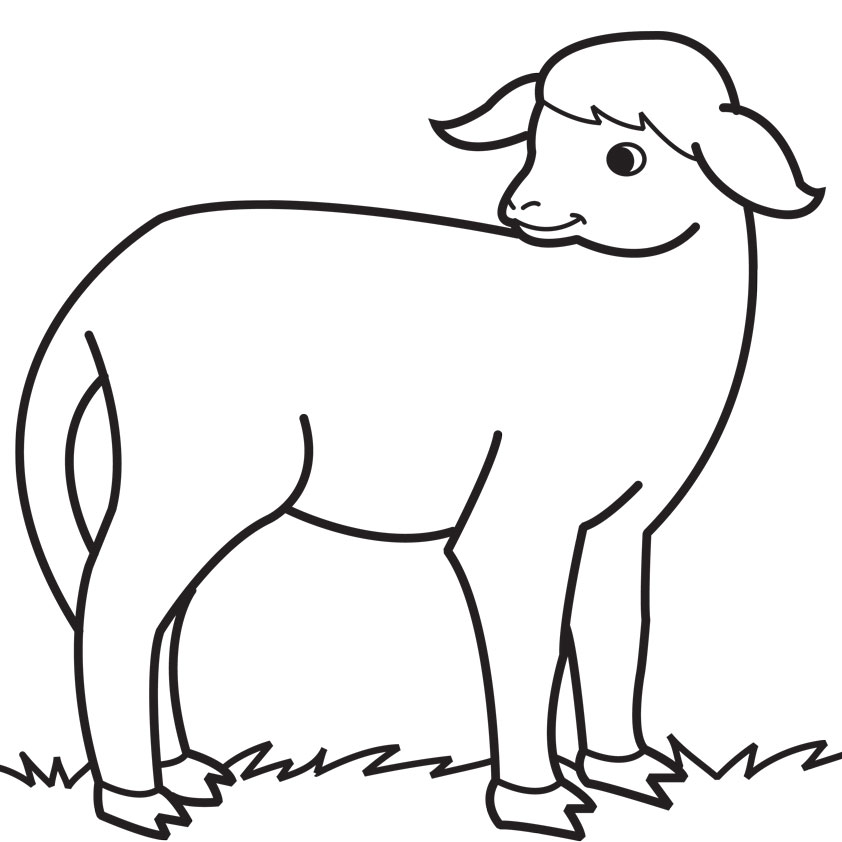 Sheep Drawings For Kids | Free Download Clip Art | Free Clip Art ...