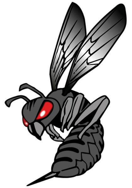 T.R.U. Ball Release - Black Hornet Downloads