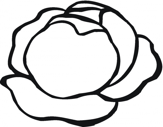 lettuce-5-coloring-page.gif 675×525 pixels | Logo inspiration ...