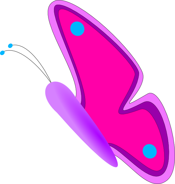 Colorful Animated Butterfly Image Photo