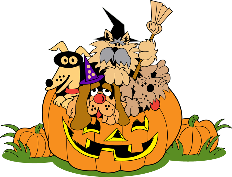 Cute Animals In A Jack O'