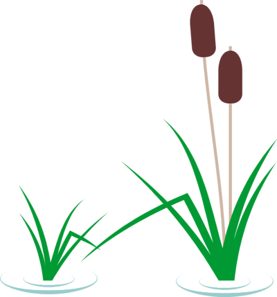 Free Stock Photos | Illustration Of Reeds In The Water With ...