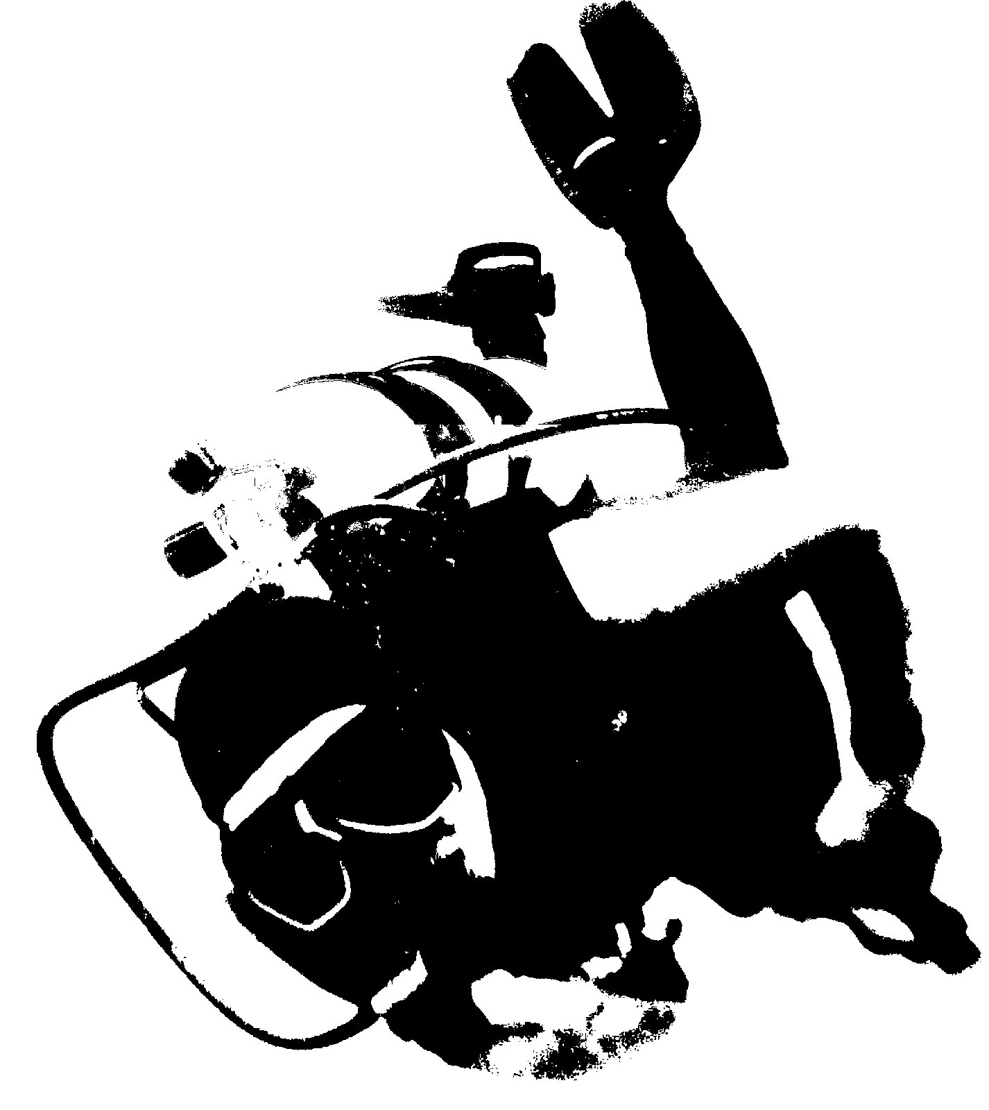 DirgaDiver | Tales of a Florida Scuba Diver