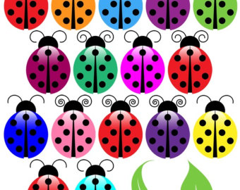 clipart ladybug
