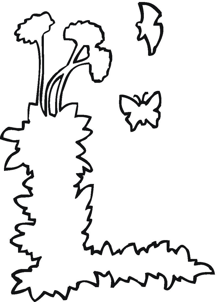 flower outline coloring page