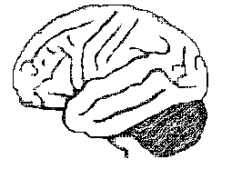 brain1.gif