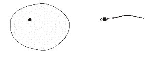 spermandegg.jpg