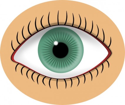 blue_eye_clip_art_22609.jpg