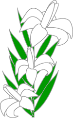 Easter Clip Art and Scrapbook Borders