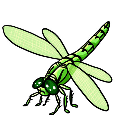FREE Dragonfly Clip Art 18