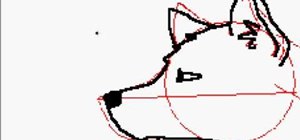 draw-wolf-step-by-step.300x140.jpg