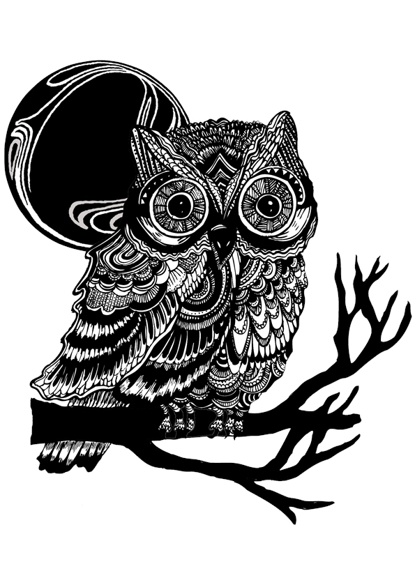 Owl Illustration on Behance